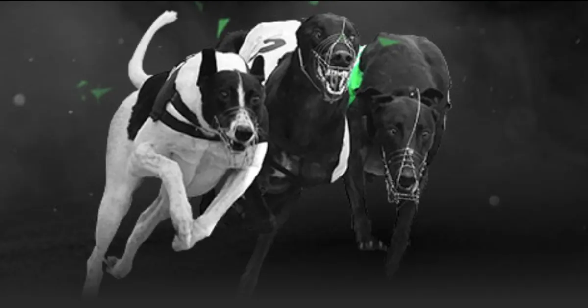 足球盛宴来,巴马激战正,国米欲报一,博鱼体育官网,博鱼体育app,博鱼体育APP下载