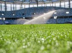 国乒伙食费,引发热议,每日,博鱼体育官网,博鱼体育app,博鱼体育APP下载